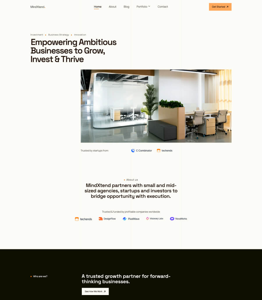 MindXtend home page design