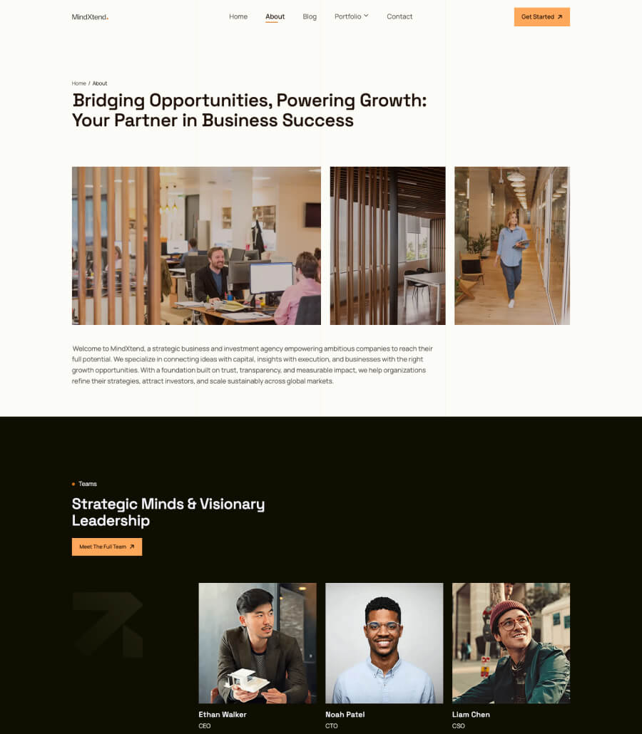 MindXtend about page design